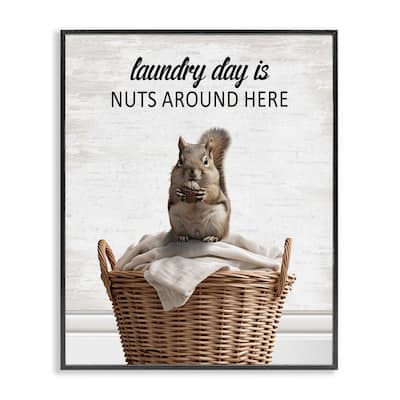Stupell Funny Laundry Day Is Nuts Framed Giclee Art Design By Lettered and Lined