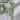 48" PE Silver Dollar Eucalyptus Garland