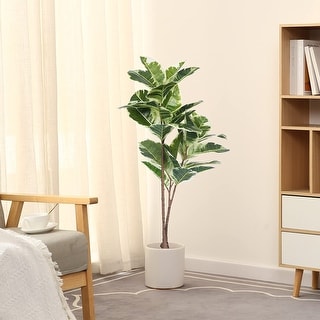 pothos vine Explore Our Jade Pothos in Trellis main image 0