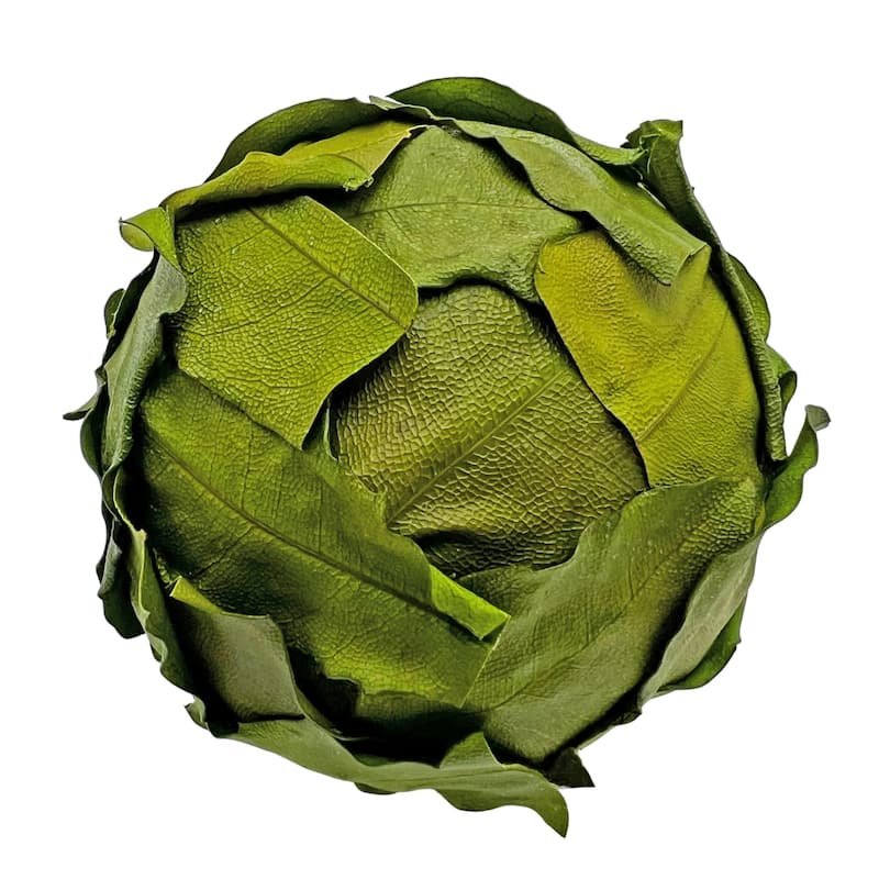 4 Preserved Leaves Decorative Orbs Bowl Filler – Green - Set of 4