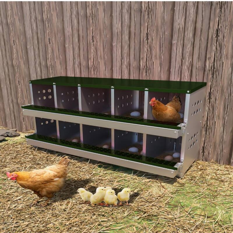 Metal Chicken Nest Egg-laying Box, Wall-mounted Hen Egg-laying Box, 2 Layers, 10 Compartments, Green - Blue