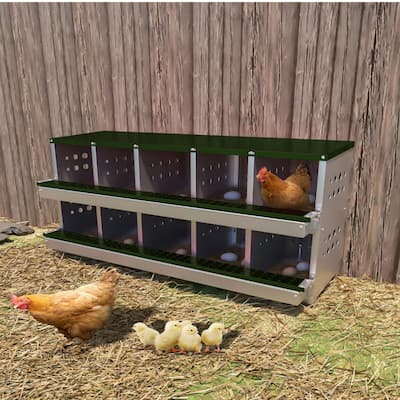 Metal Chicken Nest Egg-laying Box, Wall-mounted Hen Egg-laying Box, 2 Layers, 10 Compartments, Green