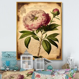 Designart "Vintage Pink And White Peony IV" Floral Peony Framed Canvas ...