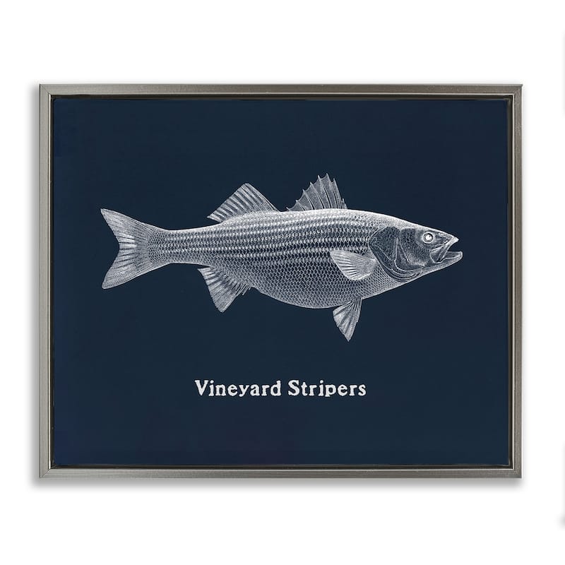 Stupell Vineyard Stripers Fish Framed Floater Canvas Wall Art Design By Phillipa Katz - 21 x 17 - Grey