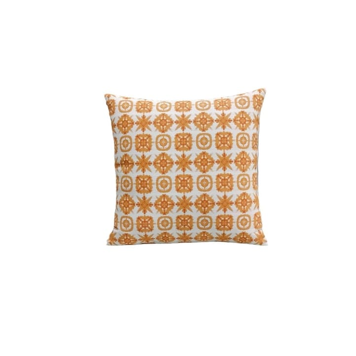 20" x 20" Indoor/Outdoor Throw Pillow, Set of 2 - Clementine