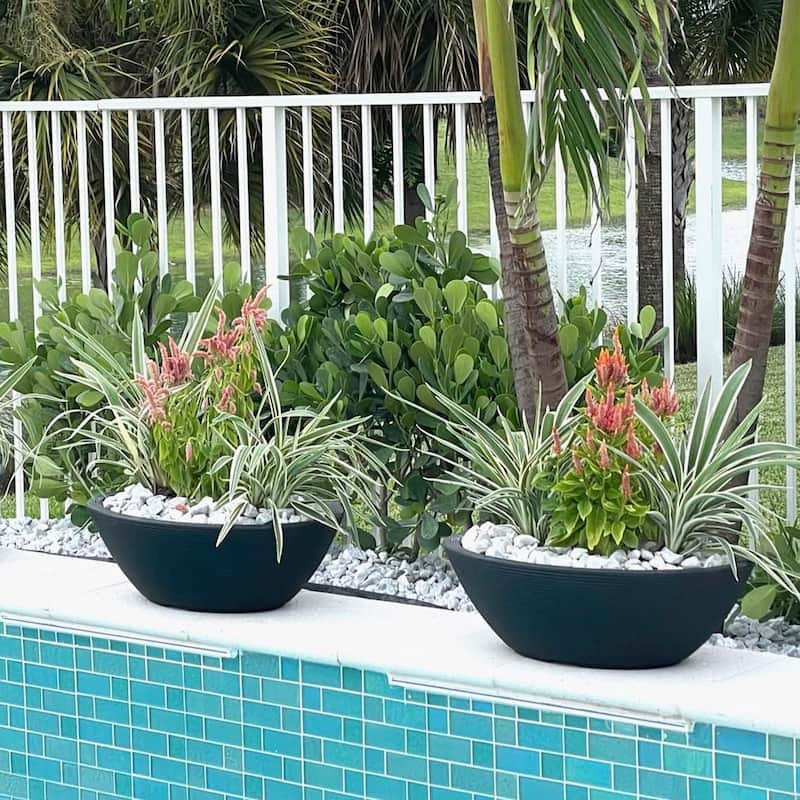Delano Indoor Outdoor Oval-shaped Planter Bowl