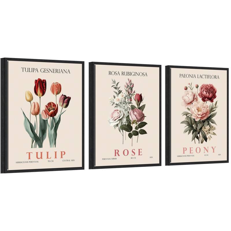 Amanti Art Vintage Rose Peony and Tulip 3 Piece by Christopher Giampietro Framed Canvas Wall Art