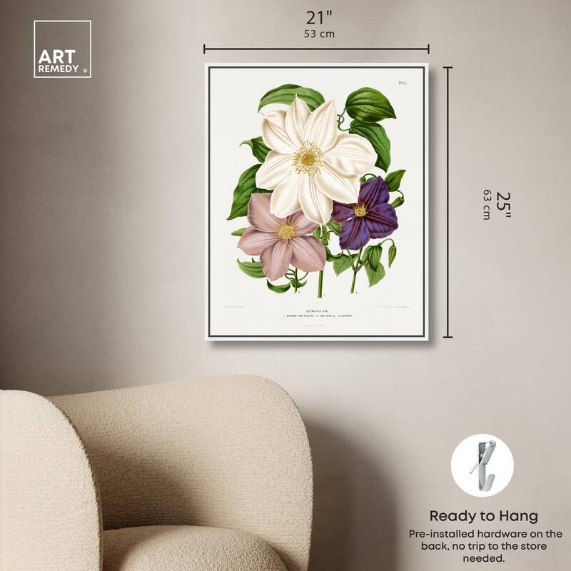Clematis Canvas by Art Remedy