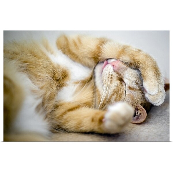 "Cat is dreaming." Poster Print