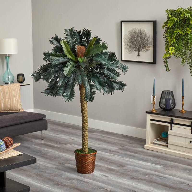 Artificial Sago Palm Tree - 5ft Indoor Tropical Plant in Basket - Home Decor - Green - 61 Inches and Over
