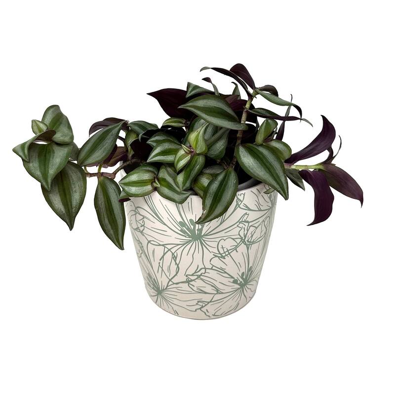 7" Round Self-Watering Indoor/Outdoor Bamboo Pots