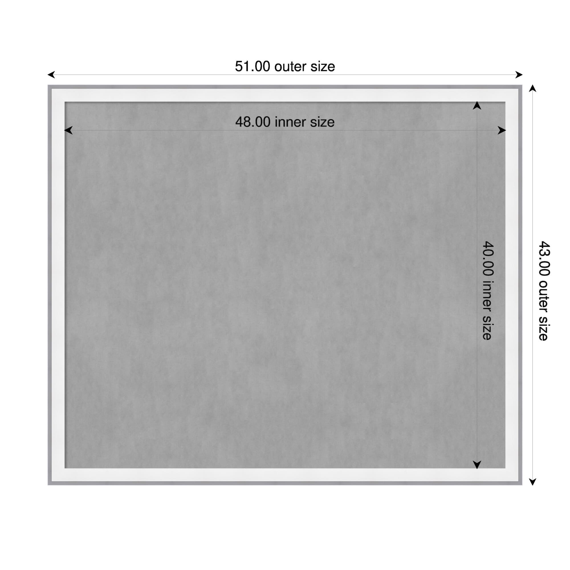 Amanti Art Maya Espresso Silver Framed