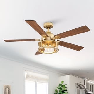 52" Gold Mesh Reversible 5-Blade LED Ceiling Fan with Remote