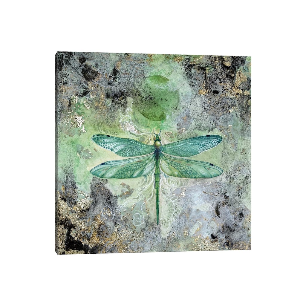 iCanvas "Dragonfly V" by Stephanie Law Canvas Print
