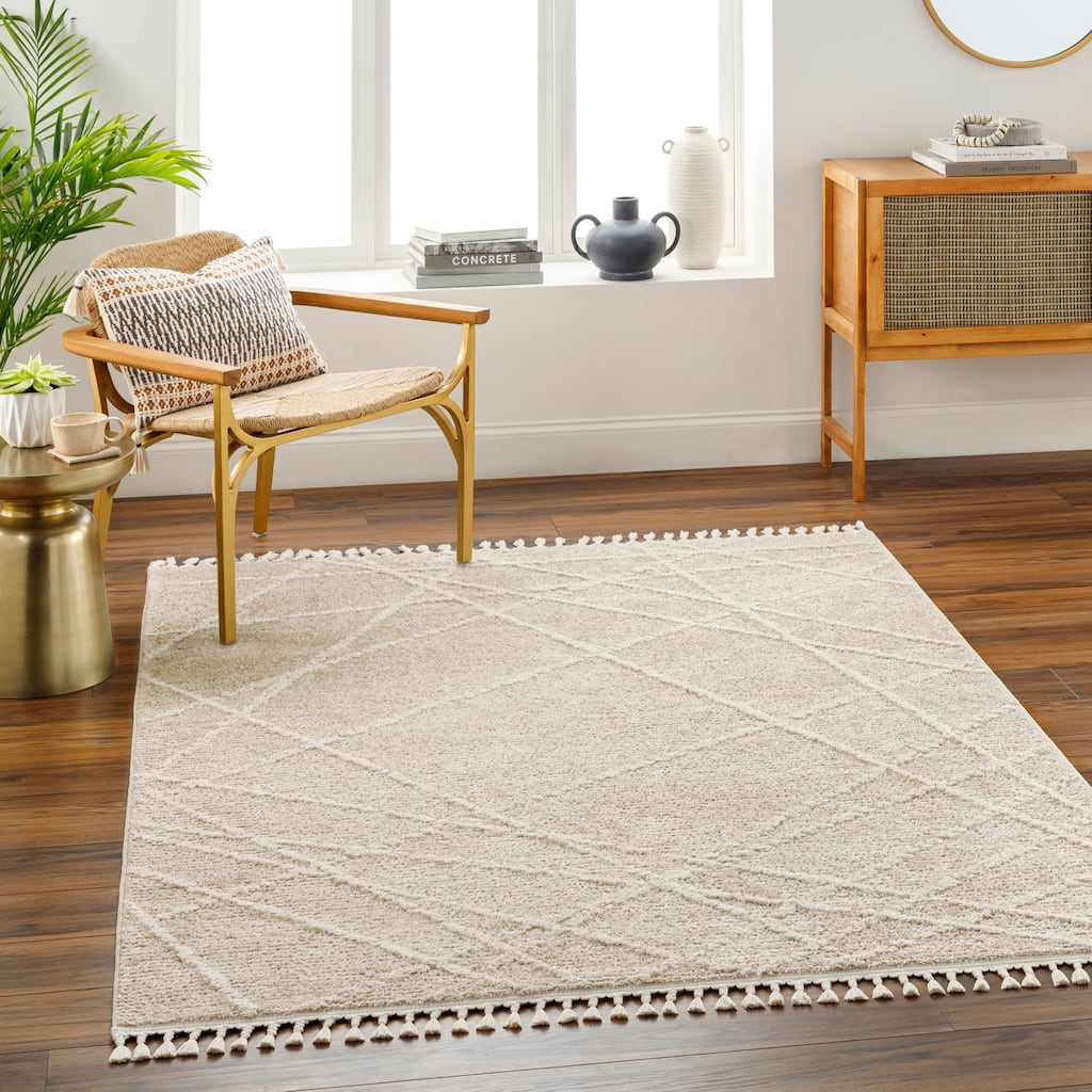Adelyn Modern & Contemporary Area Rug