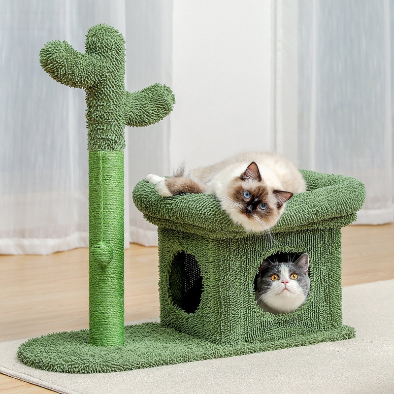 Wish cat tree on sale