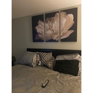 18 by 36 ArtWall Cora Nieles Clematis Panorama Artmetalz Aluminum Print 18 by 36 ArtWall Cora Nieles Clematis Panorama Artmetalz Aluminum Print