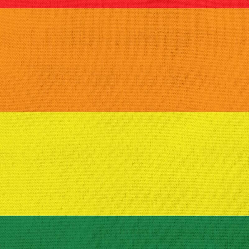Pride Flag Outdoor Throw Pillow