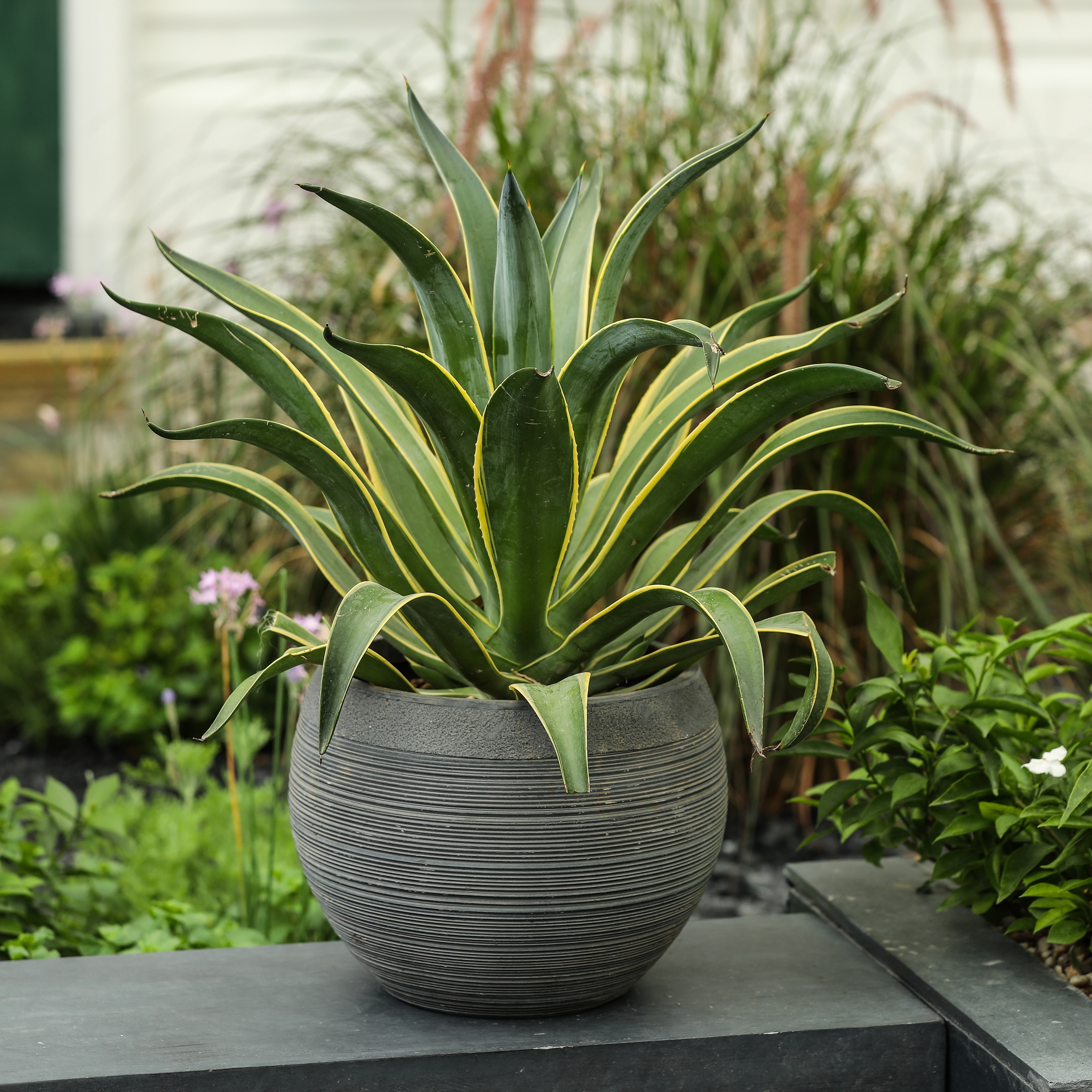 Pottery-Style Round MgO Planter, Indoor/Outdoor