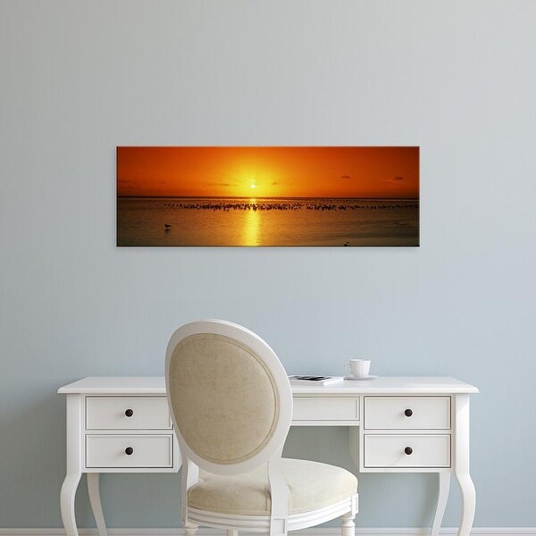 Easy Art Prints Panoramic Image 'Flock of seagulls on the beach at sunset, South Padre Island, Texas, USA' Canvas Art