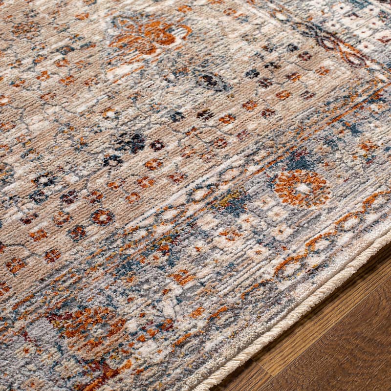 Artistic Weavers Seren Vintage Distressed Area Rug