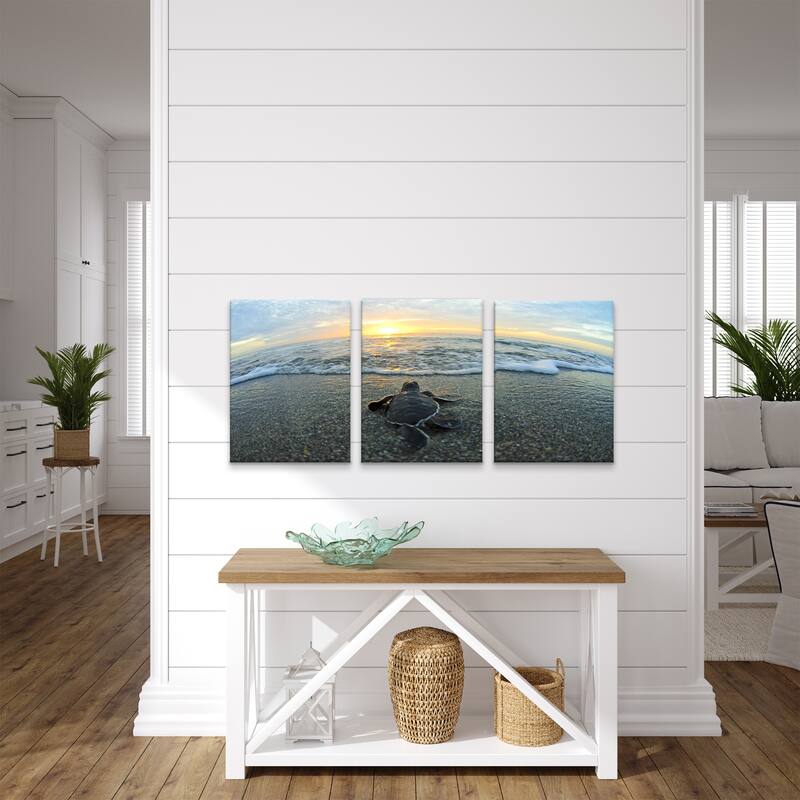 Ready2HangArt 'Turtle' 3-Piece Wrapped Canvas Wall Art Set
