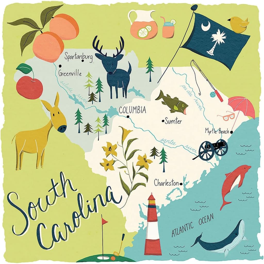 South Carolina 4-Pack Absorbent Stone Coasters with Protective Cork Backing 4" Square Made in The USA Easily Wipes Clean