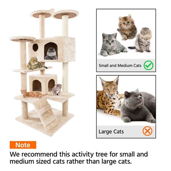 small plush cats