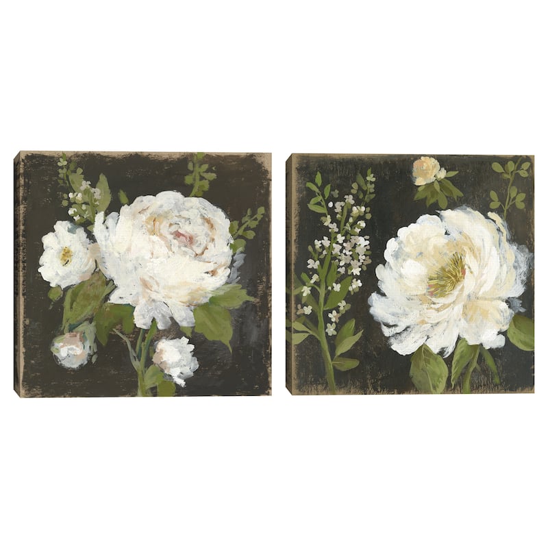 Fruit of the Flower II, Fruit of the Flower III by Asia Jensen Canvas Art Prints