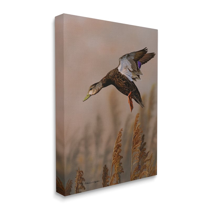 Stupell Duck Flying Photography Canvas Wall Art Design by © Richard Clifton