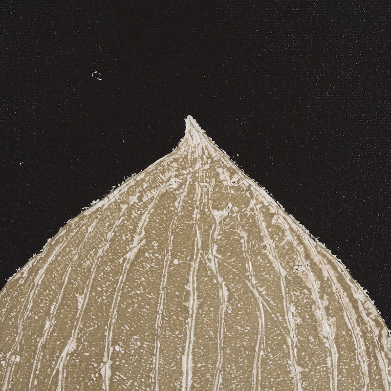 Hosta C