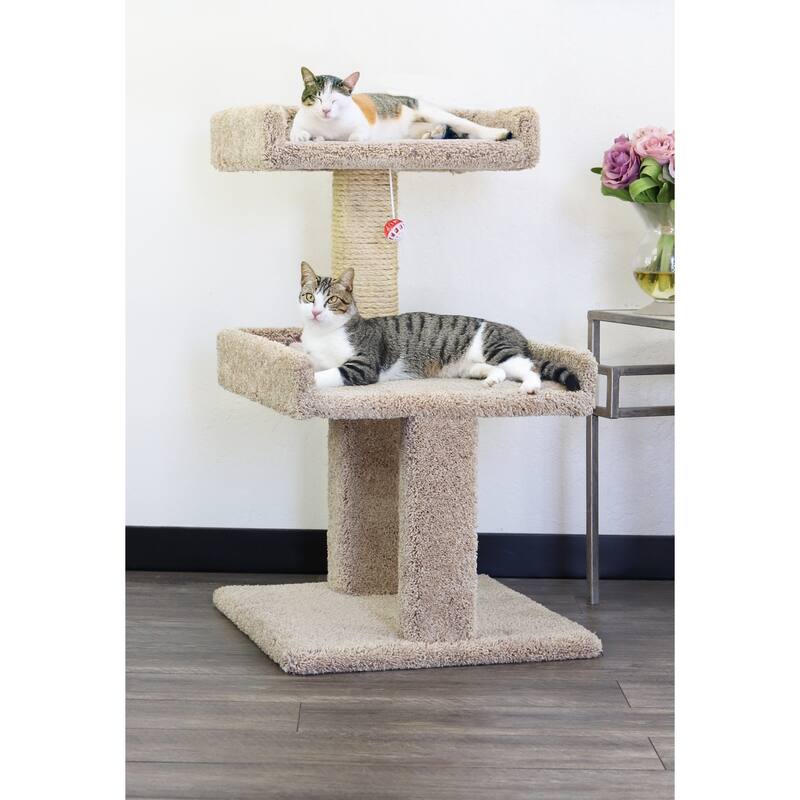 Spacious Cat Perch with Secure Edged Lounging Platforms for Large and Multiple Cats