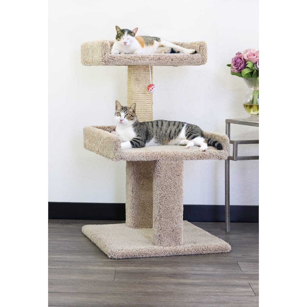 Spacious Cat Perch with Secure Edged Lounging Platforms for Large and Multiple Cats