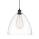Option Oil Rubbed Bronze / Clear
