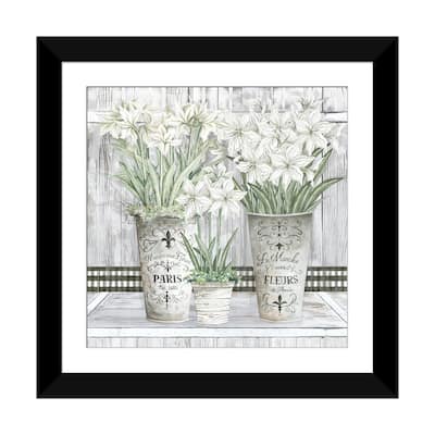 iCanvas "Amaryllis Multi Pots" by Cindy Jacobs