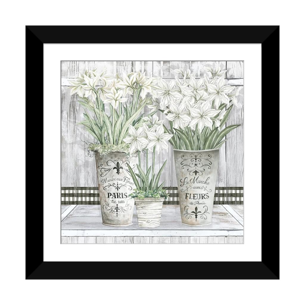 iCanvas "Amaryllis Multi Pots" by Cindy Jacobs