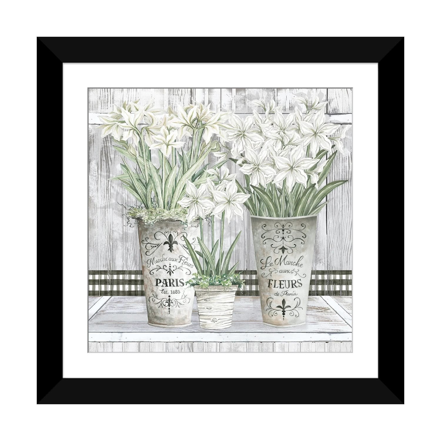 iCanvas "Amaryllis Multi Pots" by Cindy Jacobs