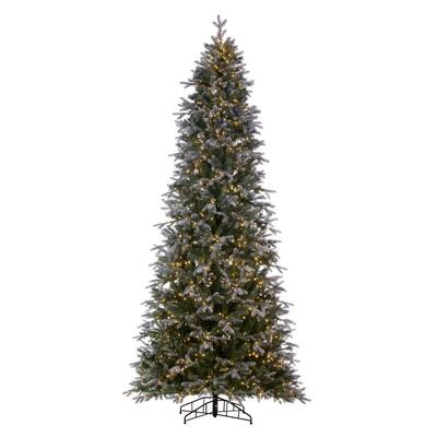 Vickerman 10' x 54" Frosted Douglas Fir Fir Artificial Slim Pre-Lit Christmas Tree, Warm White 3mm LED Wide Angle Lights.