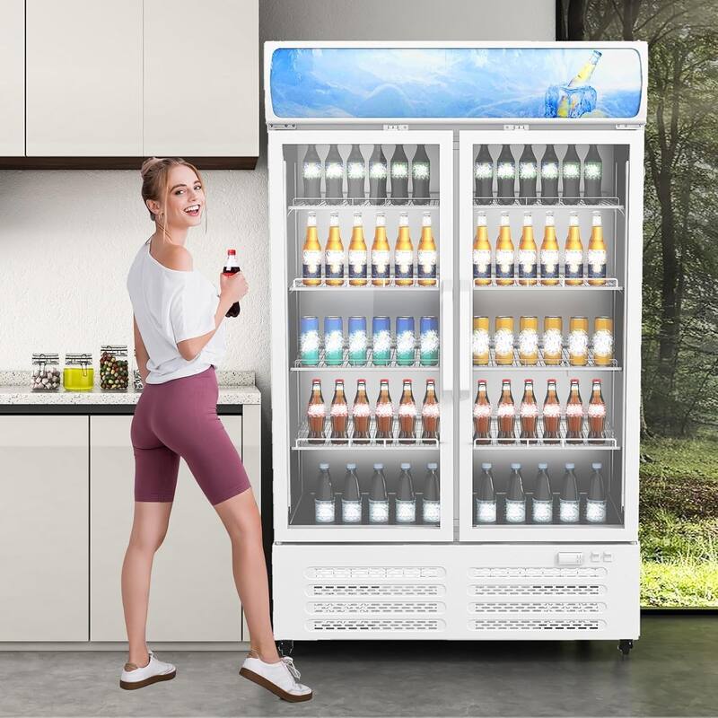 26 Cu.Ft Commercial Glass Door Display Refrigerator with LED Lighting, Energy-Efficient Beverage Cooler