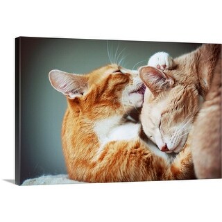 Shop Two Cats Embrace And Lick Each Other Canvas Wall Art