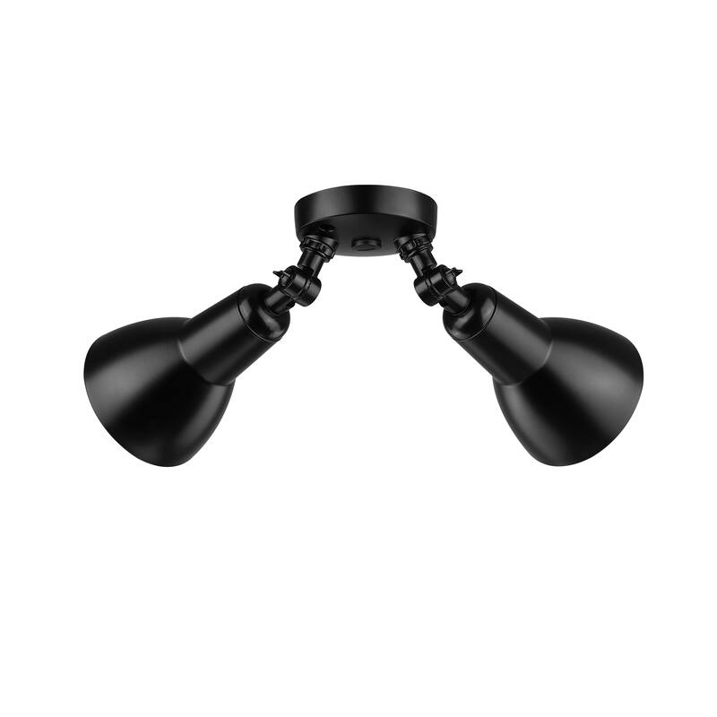 Millennium Lighting 2 Light LED Flood Light Fixture