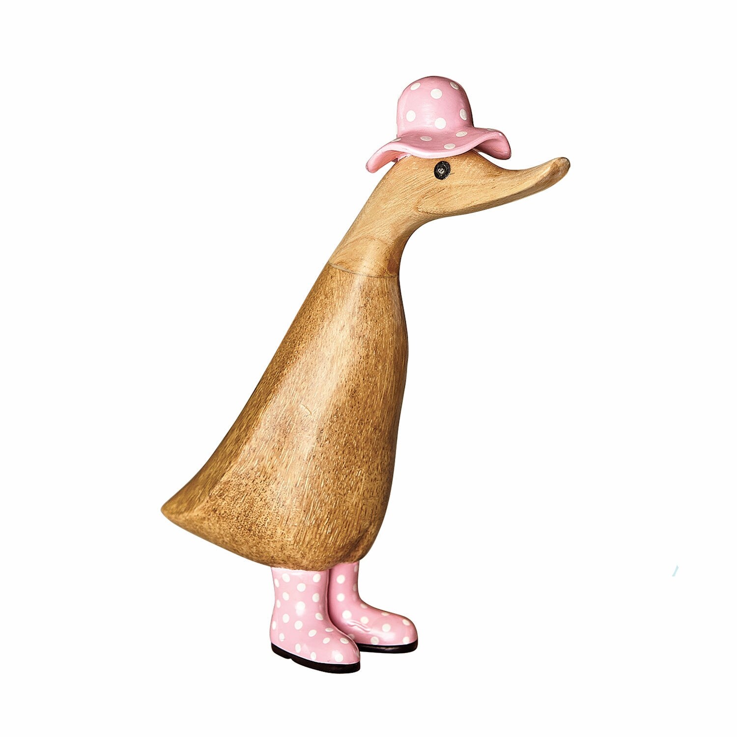 duck wearing boots