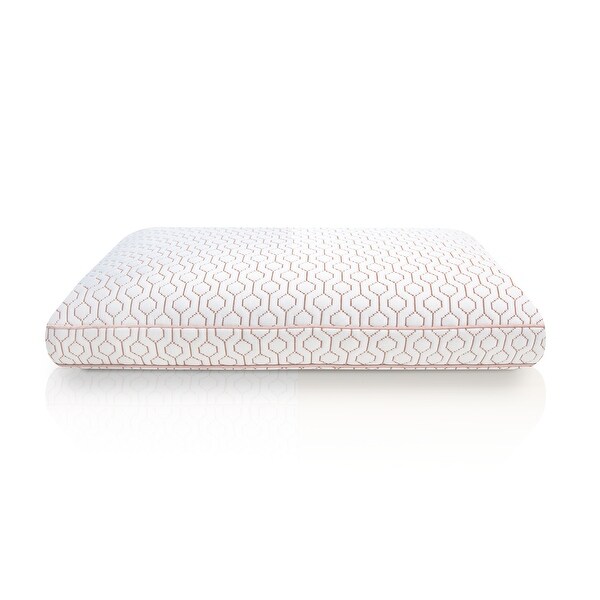 Wellness Memory Foam Pillow 2024 www.favors