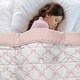 preview thumbnail 1 of 4, Sweet Jojo Designs Pink Bows Girl Toddler Weighted Blanket 5lbs for Kids -Blush Elegant, Vintage, Coquette for Ballet Collection