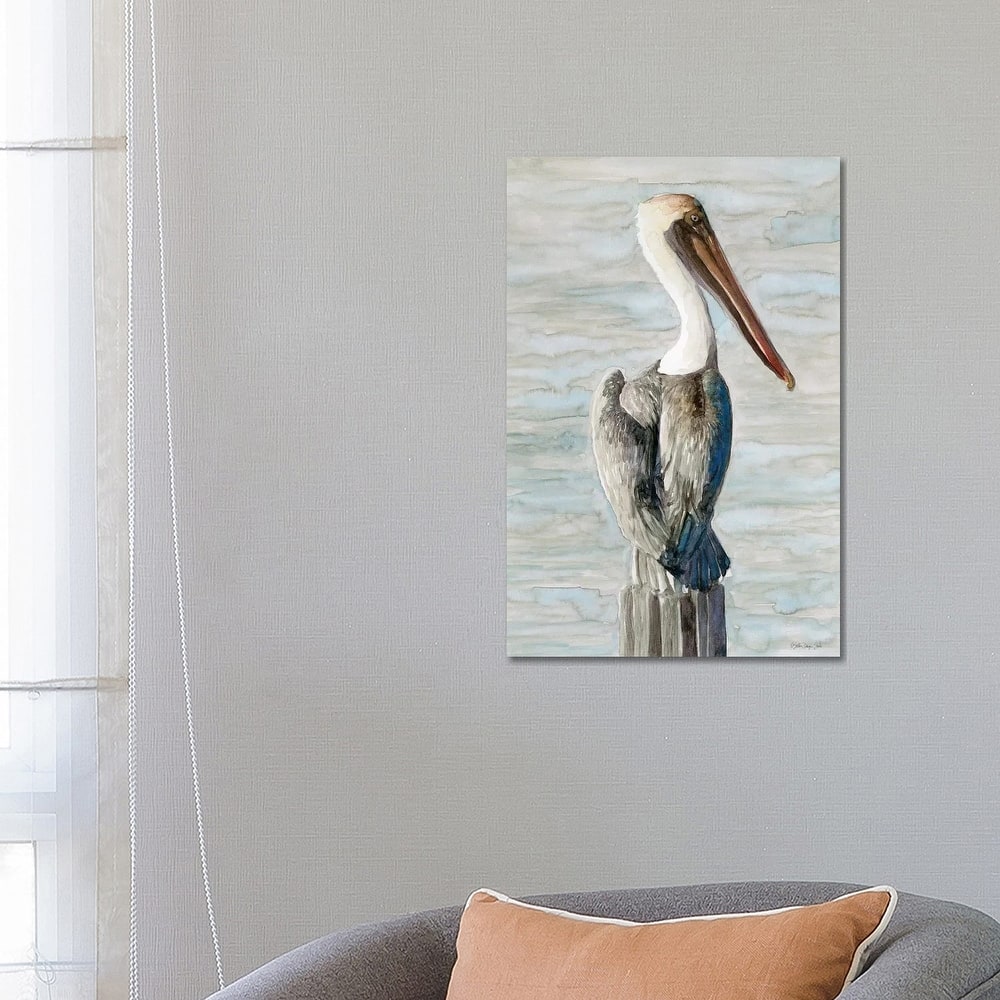 iCanvas "Brown Pelican I" by Stellar Design Studio Canvas Print