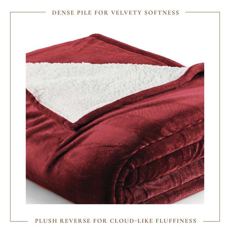 Linery & Co. Velvet Plush Reversible Sherpa Bed Blanket