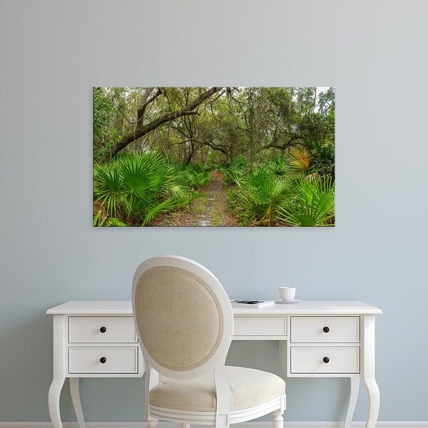 Easy Art Prints Panoramic Images's 'Trees and plants, Oscar Scherer State Park, Nokomis, Sarasota, Florida' Canvas Art