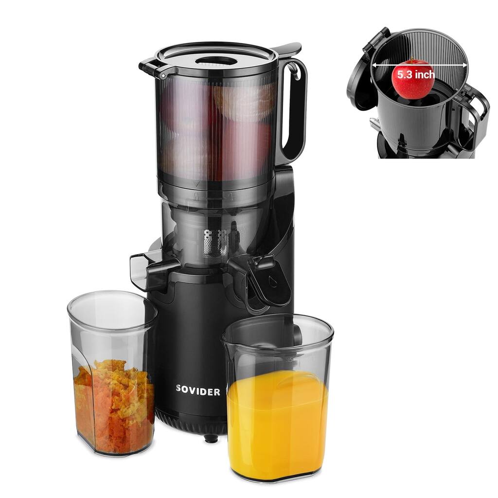 Cold Press Juice Machines 5.3" Extra Large Feeding Chute for Whole Fruits & Vegetables -Slow Masticating Juicer High Juice Yield