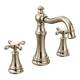 Option Polished Nickel