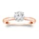 Option Rose